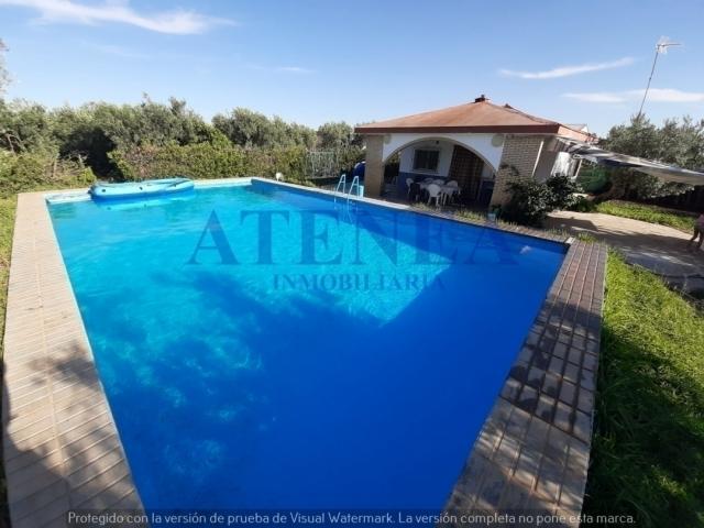 #343 - PARCELA para Venta en Utrera - Andalucía