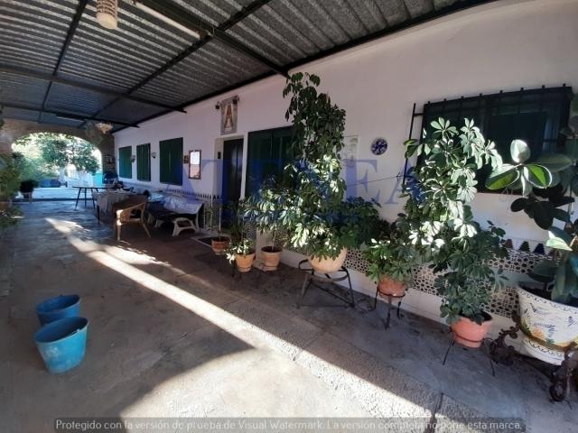 #353 - Campos para Venta en Utrera - Andalucía - 1