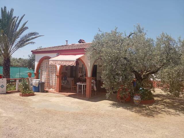 #1042 - Campos para Venta en Utrera - Andalucía - 1