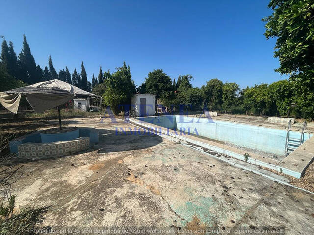 #1058 - Campos para Venta en Utrera - Andalucía - 2