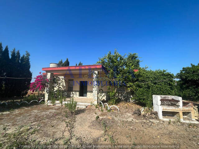 #1058 - Campos para Venta en Utrera - Andalucía - 3