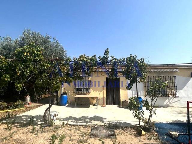 #1063 - Campos para Venta en Utrera - Andalucía - 3