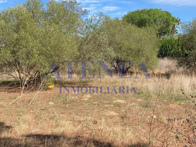 #1072 - Terreno para Venta en Utrera - Andalucía - 2