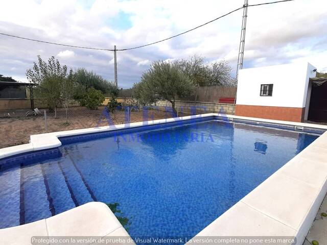 #1085 - Campos para Venta en Utrera - Andalucía